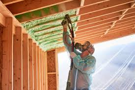 Best Spray Foam Insulation  in Little Walnut Village, NM