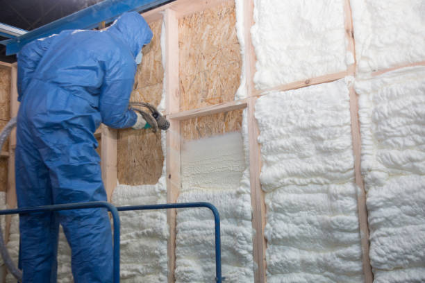 Best Fireproof Insulation  in Little Walnut Village, NM